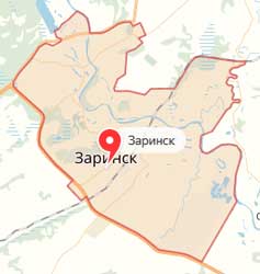 Карта: Заринск